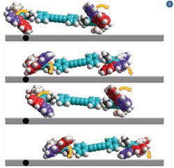 A nanocar using four molecular rotors