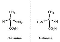 Stereoisomers of glycine