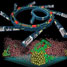 A catalytic collaboration