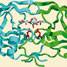 Molecules made to measure