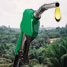 A sustainable generation?