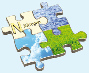 Nitrogen cycle