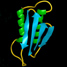 prion protein