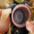 Biomimetics