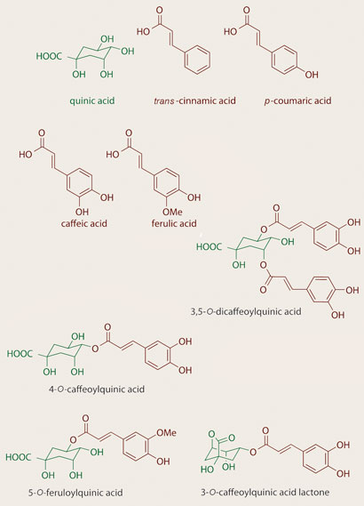 Chemistry in every cup