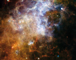 The constellation Cruz