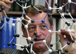 Molecular trees bear fruit