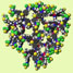 Molecular trees bear fruit