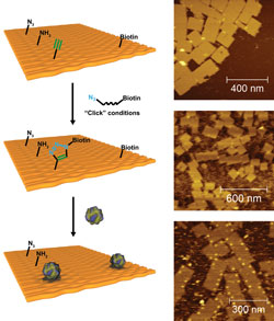 DNA motors on