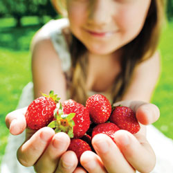 Girl holding strawberries