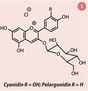 The stucture of pelargonidin 3-glucoside
