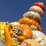 A mountain of pumpkins and squashes