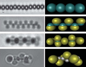 Self-assembly of blocks into chains under a magnetic field