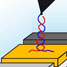 DNA deposition