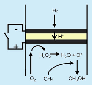 Methane oxidised to methanol in fuel cell