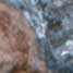 Galena, a silver-bearing lead ore, discovered on La Isabela
