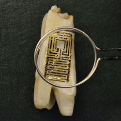 Graphene sensor