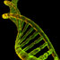 DNA