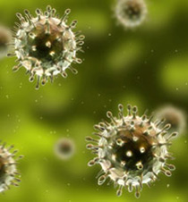 Virus Identification