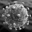 HIV