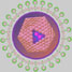 HIV virus