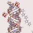 Nanomaterials on DNA template