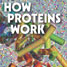 Book cover - How proteins work