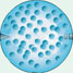 Li-M alloys