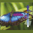Journal of Materials Chemistry