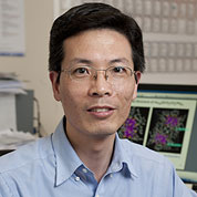 Picture of Professor RongChao Jin