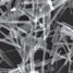 Potassium niobate nanowires