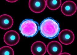 Computer model leukaemia