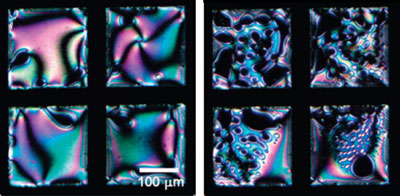 Liquid crystals can be used as DNA sequence detectors