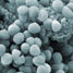 MRSA