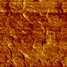 AFM image of annealed polymer