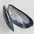 Mussels-169