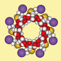 Organon's pipeline