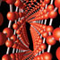 Manufacturing the carbon nanotube market