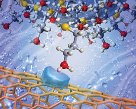 A single amine functional group interacting with a carbon nanotube