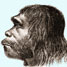 Neanderthal