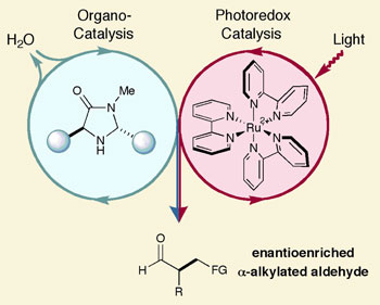 Dual catalysis