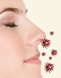 Smelling