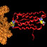 Pegylated interferon