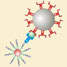 Barcode assay