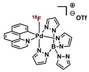 Fluorination palladium fluorine-18 complex