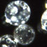 Polymer beads containing proline