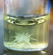RNA chirality