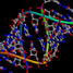 RNA