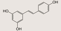 Resveratrol oligomer total synthesis