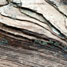 shale rock